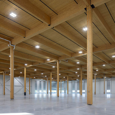 Reimagining Industrial Spaces: The Timber Innovation Behind Prologis Evergreen