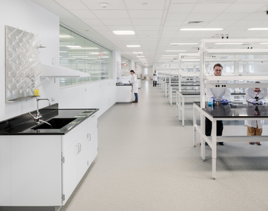 Peer Review as Risk Management in Lab Renovations