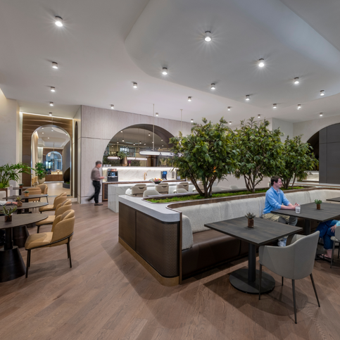 Beyond the Desk: How Multisensory Design Is Redefining the Modern Office